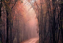 两球击败乌迪内斯 国米晋级意大利杯复赛.