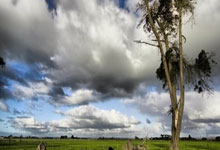 AYX:每体:巴萨希望和巴勃罗-托雷续约一年,以便未来将他外租.