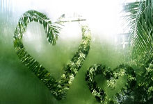 [NBA]斯特鲁斯击地妙传 阿伦起飞单手劈扣.