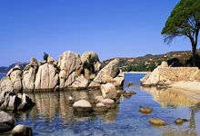 攀岩队选拔赛检验冬训成果 周娅菲、杨杰夺冠.